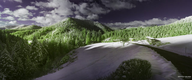 Der grüne Schwarzwald im Schnee (IR)